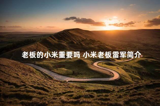 老板的小米重要吗 小米老板雷军简介